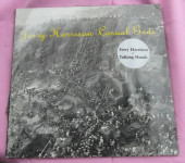 LP Jerry Harrison : Casual Gods