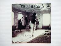 LP • Pilgrim Souls - Is This All Of Us