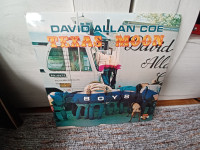 LP ploča David Allan Coe - Texas Moon (Charly Recods - England)