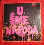 LP RIBLJA ČORBA uživo, U IME NARODA