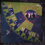 Lp Simple Minds- Street fighting years