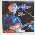 Muddy Waters – Profile, German Press