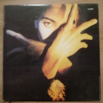 Terence Trent D'Arby : Neither Fish Nor Flesh LP