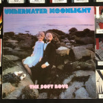 THE SOFT BOYS: UNDERWATER MOONLIGHT