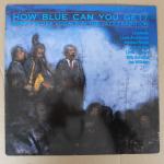 Various – How Blue Can You Get?