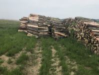 Prodajem drva za ogrijev - 55,00 eur / metar