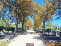 MIROGOJ, KAZETA SA 6 MJESTA