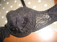 CRNI GRUDNJAK LORMAR  vel. 2