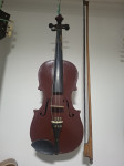 Violina