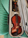 Violina