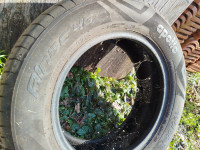 Gume ljetne Apollo  195/65/15 4 kom.