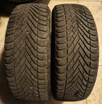 205/55/16 Pirelli winter