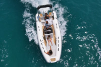 -10% Gumenjak Tiger Marine Proline 550 - HYPALON