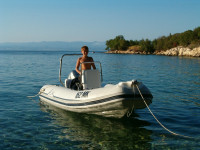 ARIMAR Sea Pioneer 430+ Honda 30