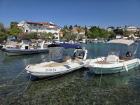 BARACUDA 530 - YAMAHA 100ks