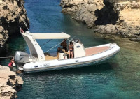 BWA 23 EVOLUTION  +  HONDA 225