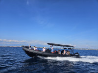 Sport 960