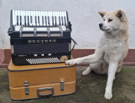 Prodajem harmoniku Delicia Carmen