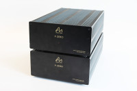 Audio Note PZero Monoblock