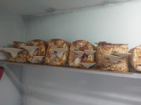 Ljekovita Tinktura Reishi gljive Ganoderma