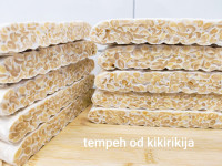 Tempeh starter - Rhizopus oligosporus