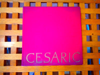 Cesarić Julije Derossi ZAGREB 1966 + 2 GRAMOFONSKE PLOČE