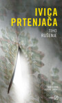Ivica Prtenjača : Tiho rušenje