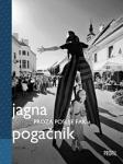 Jagna Pogačnik: Proza poslije FAK-a