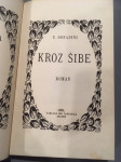 Ulderiko Donadini, Kroz šibe, prvo izdanje, 1921.