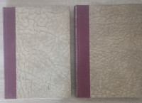 Vladimir Nazor: Eseji i članci 1.-2.