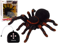 Tarantula na daljinsko upravljanje crna