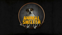 Animal Shelter (PC Steam) (Global)