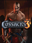 Cossacks 3 - Complete Cossacks 3 Experience STEAM Key