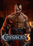 Cossacks 3 STEAM Key