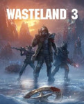 Wasteland 3 STEAM Key