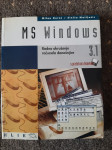 MS Window 3,1