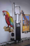 Printer za zid, Wall printer DXonJet VP Jet4.0