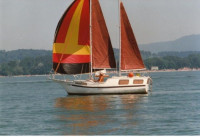 Buckler 24 MS jedrilica, diesel, moguca zamjena