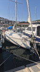 Jedrilica ELAN 31
