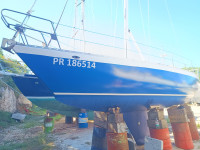 Jedrilica Show 29 (5000 EUR, u vrlo dobrom stanju)