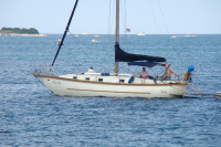 Jedrilica, unikatna samogradnja