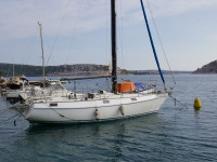 Nautica Harmony 31