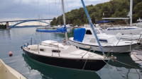 Shark 24