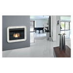 Ugradbeni kamin na pelet EVA CALOR TOMMY 9,5 kW+ dodatni PREMIUM kanal