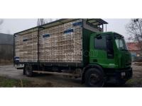 Iveco Eurocargo 180E28 Poultry transporter