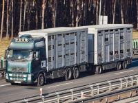 Volvo FH 12 6x2 Animal carrier