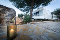 Fendt Larimar 620 Bolero