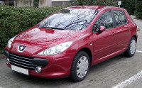 Peugeot 307 ISKLJUČIVO ZA DIJELOVE