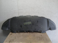 BRANIK PREDNJA STRANA POKLOPAC TESLA Y 176071300C