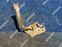 BRAVA HAUBE CITROEN C4 '06 3V PREDNJA